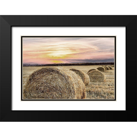Farmers Harvest Black Modern Wood Framed Art Print with Double Matting by Kimberly, Allen