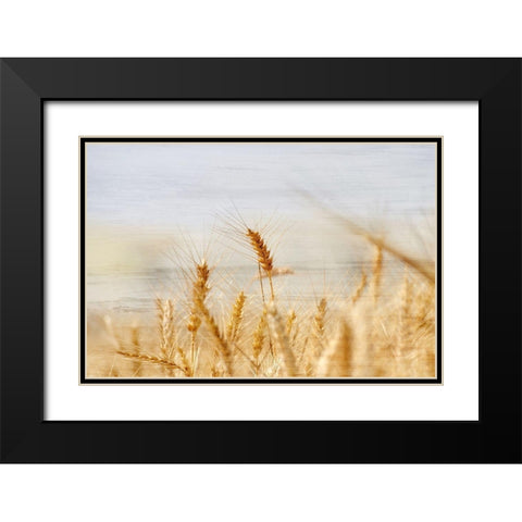 The Harvest Black Modern Wood Framed Art Print with Double Matting by Kimberly, Allen