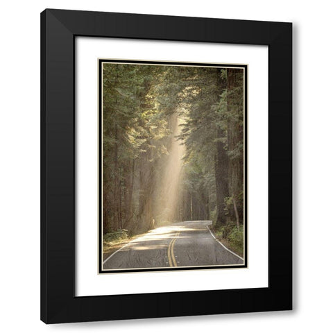 Lets get Lost Road Black Modern Wood Framed Art Print with Double Matting by Kimberly, Allen