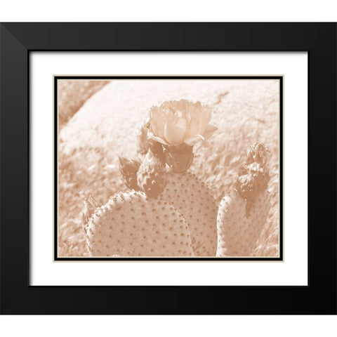 Follow Your Soul 1B Black Modern Wood Framed Art Print with Double Matting by Kimberly, Allen