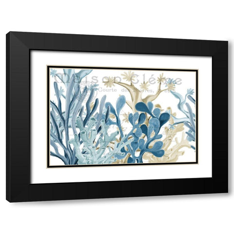 Coastal Coral 1 Black Modern Wood Framed Art Print with Double Matting by Kimberly, Allen
