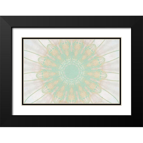 Mint Medallion Black Modern Wood Framed Art Print with Double Matting by Kimberly, Allen