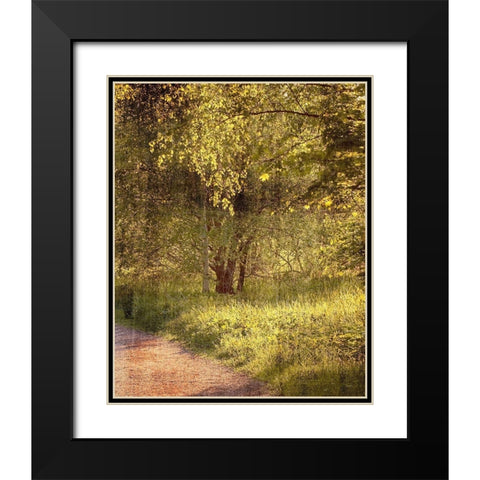 Sunlit Path 2 Black Modern Wood Framed Art Print with Double Matting by Kimberly, Allen