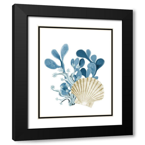 Coastal Coral 5 Black Modern Wood Framed Art Print with Double Matting by Kimberly, Allen