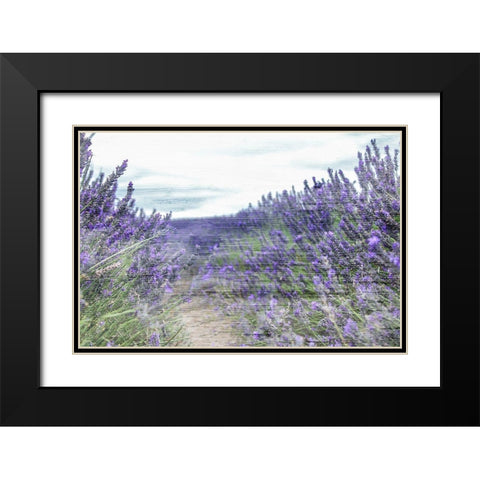 Lavender Field Black Modern Wood Framed Art Print with Double Matting by Allen, Kimberly