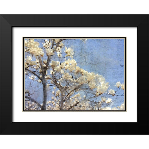 Magnolia Dream Black Modern Wood Framed Art Print with Double Matting by Allen, Kimberly