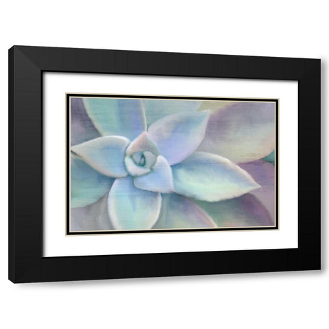 Succulent Center Black Modern Wood Framed Art Print with Double Matting by Kimberly, Allen
