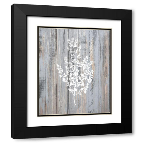 Botanical Wood 2 Black Modern Wood Framed Art Print with Double Matting by Kimberly, Allen