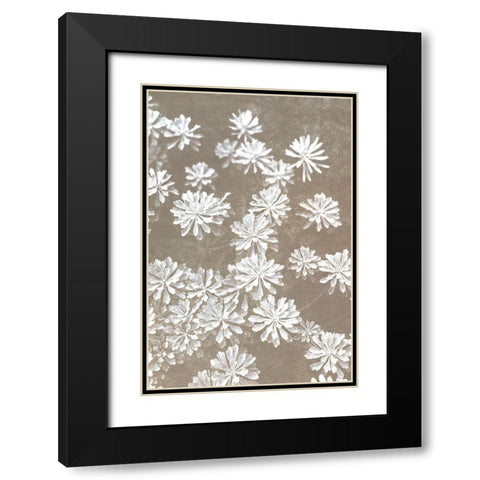 Falling Blooms Black Modern Wood Framed Art Print with Double Matting by Kimberly, Allen