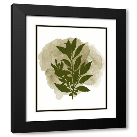 Botanical Branch 1 Black Modern Wood Framed Art Print with Double Matting by Kimberly, Allen