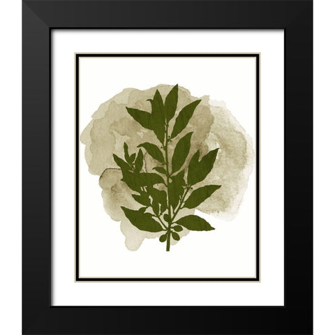 Botanical Branch 1 Black Modern Wood Framed Art Print with Double Matting by Kimberly, Allen