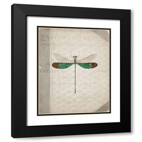 Dragonfly Book 2 Black Modern Wood Framed Art Print with Double Matting by Allen, Kimberly