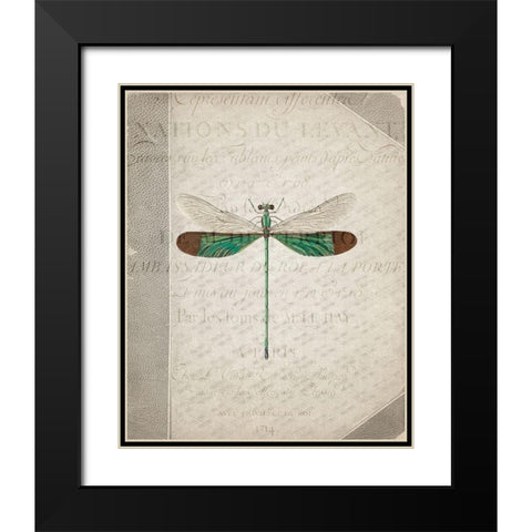 Dragonfly Book 2 Black Modern Wood Framed Art Print with Double Matting by Allen, Kimberly