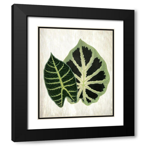 Botanical Greens 2 Black Modern Wood Framed Art Print with Double Matting by Allen, Kimberly