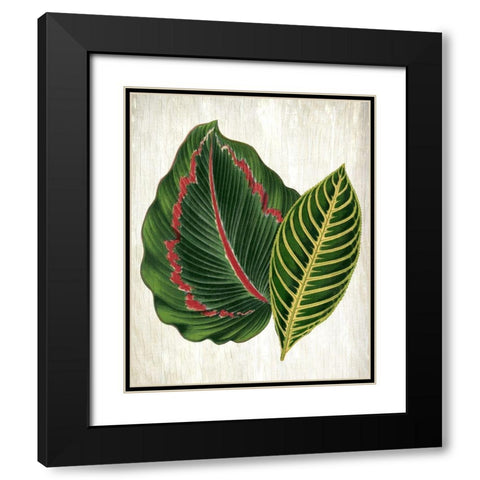 Botanical Greens 3 Black Modern Wood Framed Art Print with Double Matting by Allen, Kimberly