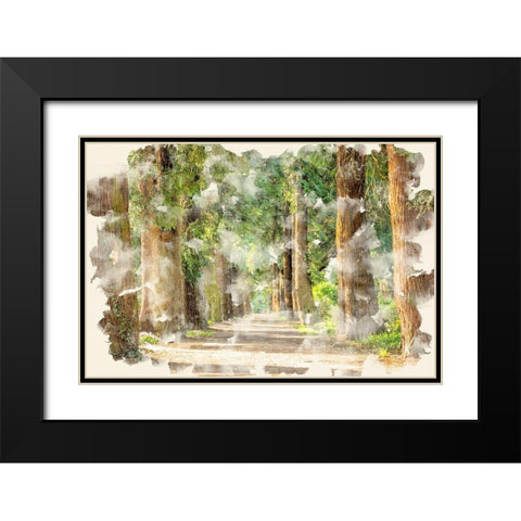 Tree Avenue Black Modern Wood Framed Art Print with Double Matting by Allen, Kimberly