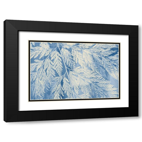 Fern Black Modern Wood Framed Art Print with Double Matting by Allen, Kimberly