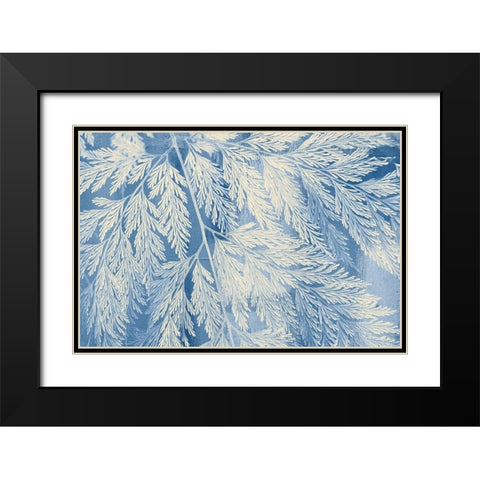 Fern Black Modern Wood Framed Art Print with Double Matting by Allen, Kimberly