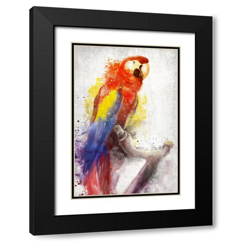 MaCaw Black Modern Wood Framed Art Print with Double Matting by Allen, Kimberly