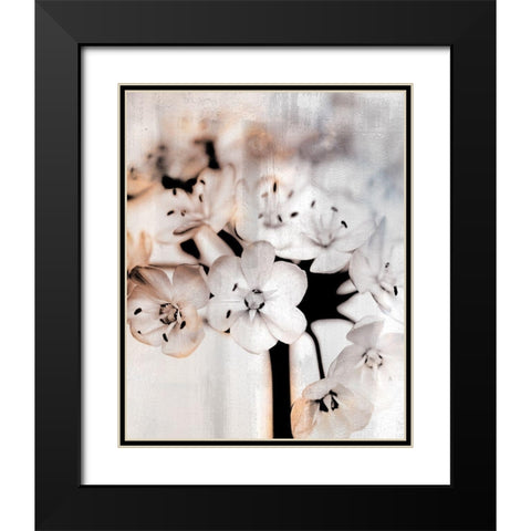 Leek Blossoms 1 Black Modern Wood Framed Art Print with Double Matting by Allen, Kimberly