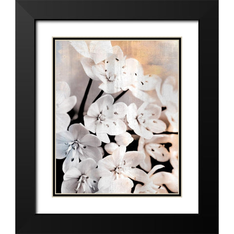 Leek Blossoms 2 Black Modern Wood Framed Art Print with Double Matting by Allen, Kimberly