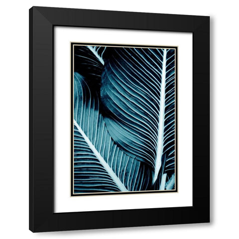 Tropical Blue 1 Black Modern Wood Framed Art Print with Double Matting by Allen, Kimberly