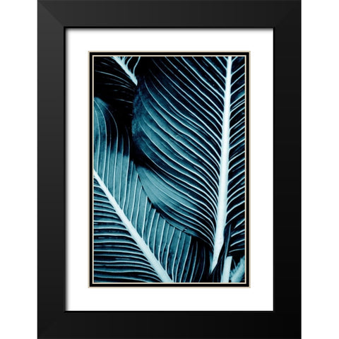 Tropical Blue 1 Black Modern Wood Framed Art Print with Double Matting by Allen, Kimberly