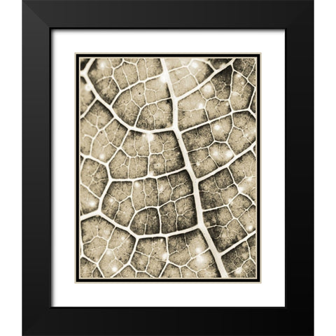 Eco Gold 1 Black Modern Wood Framed Art Print with Double Matting by Allen, Kimberly