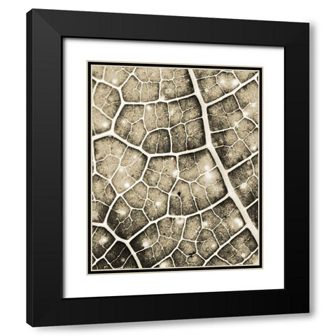 Eco Gold 2 Black Modern Wood Framed Art Print with Double Matting by Allen, Kimberly