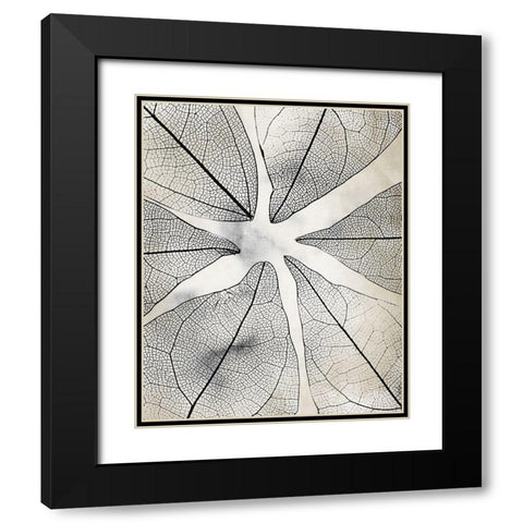 Transparent 1 Black Modern Wood Framed Art Print with Double Matting by Allen, Kimberly
