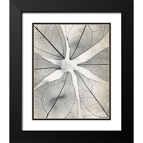 Transparent 1 Black Modern Wood Framed Art Print with Double Matting by Allen, Kimberly