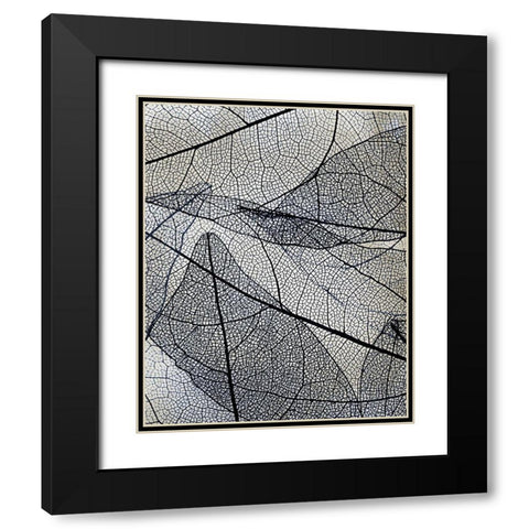 Transparent 3 v2 Black Modern Wood Framed Art Print with Double Matting by Allen, Kimberly