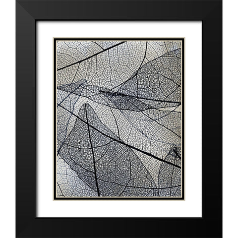 Transparent 3 v2 Black Modern Wood Framed Art Print with Double Matting by Allen, Kimberly