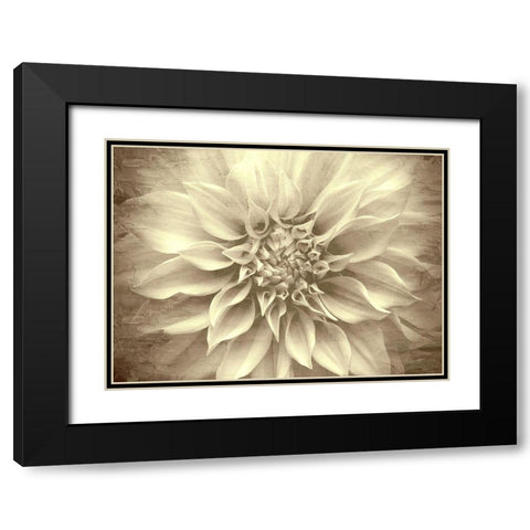 Amethyst Black Modern Wood Framed Art Print with Double Matting by Allen, Kimberly