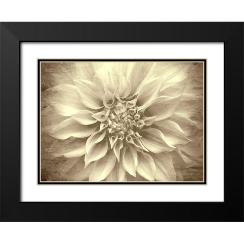 Amethyst Black Modern Wood Framed Art Print with Double Matting by Allen, Kimberly