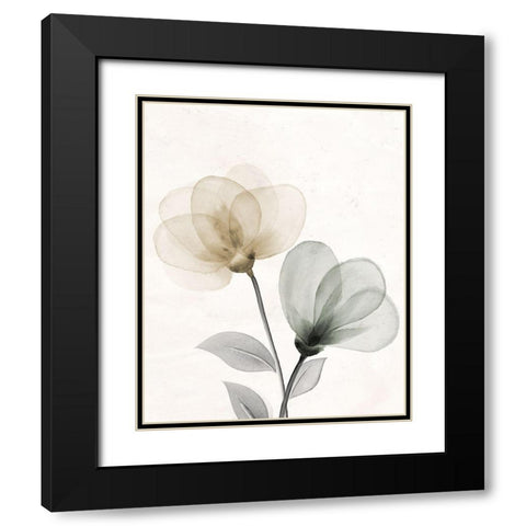 Open Bloom 1 Black Modern Wood Framed Art Print with Double Matting by Allen, Kimberly