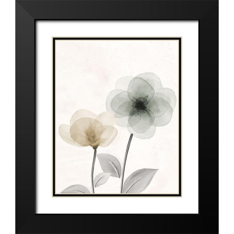 Open Bloom 2 Black Modern Wood Framed Art Print with Double Matting by Allen, Kimberly