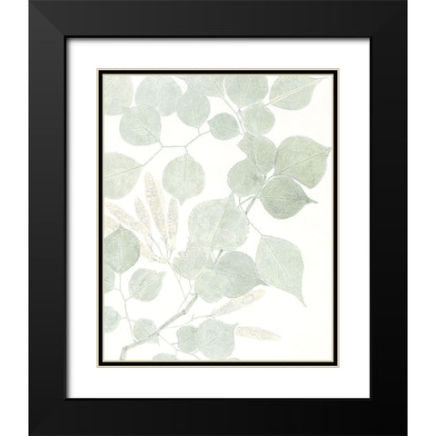 Soft 1 Black Modern Wood Framed Art Print with Double Matting by Allen, Kimberly
