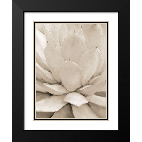 Agave Neutral 1 Black Modern Wood Framed Art Print with Double Matting by Allen, Kimberly