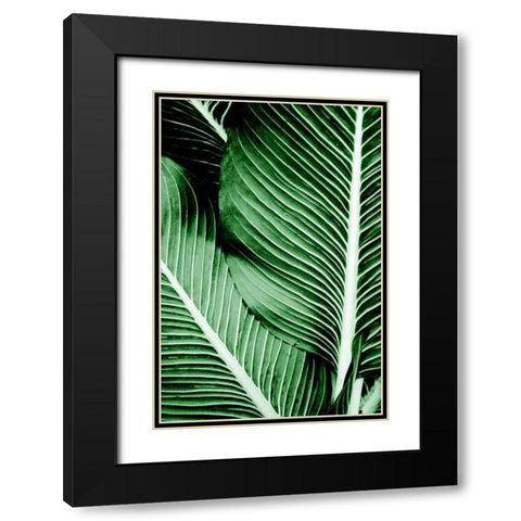 Tropical 1 Black Modern Wood Framed Art Print with Double Matting by Allen, Kimberly