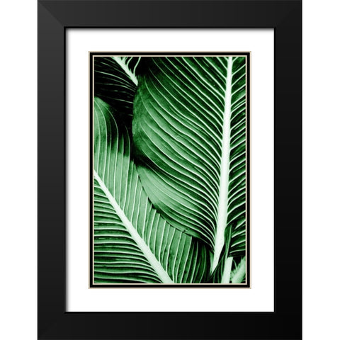 Tropical 1 Black Modern Wood Framed Art Print with Double Matting by Allen, Kimberly