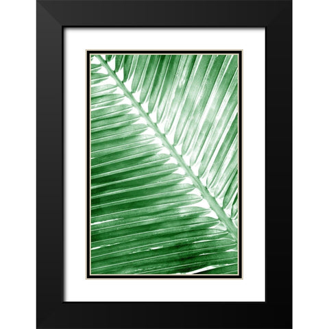 Tropical 2 Black Modern Wood Framed Art Print with Double Matting by Allen, Kimberly