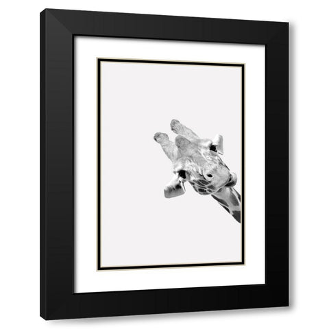Quirky Giraffes 3 Black Modern Wood Framed Art Print with Double Matting by Allen, Kimberly