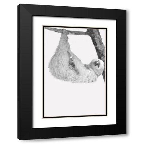 Quirky Sloths 1 Black Modern Wood Framed Art Print with Double Matting by Allen, Kimberly