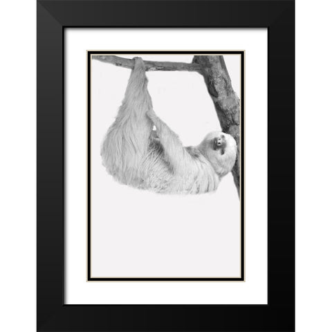 Quirky Sloths 1 Black Modern Wood Framed Art Print with Double Matting by Allen, Kimberly
