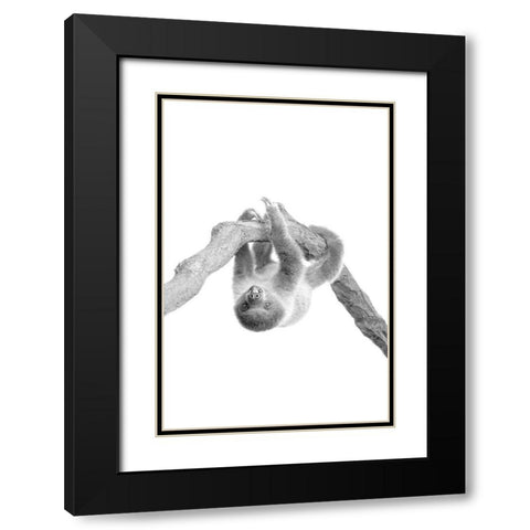 Baby Sloth 2 Black Modern Wood Framed Art Print with Double Matting by Allen, Kimberly