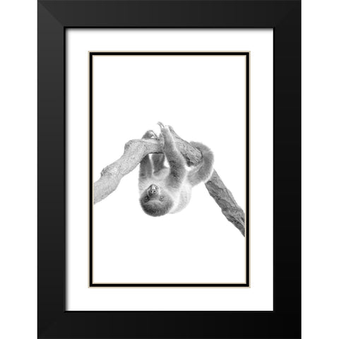 Baby Sloth 2 Black Modern Wood Framed Art Print with Double Matting by Allen, Kimberly