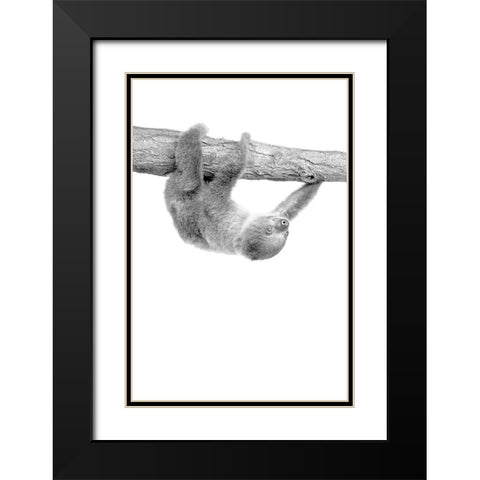 Baby Sloth 3 Black Modern Wood Framed Art Print with Double Matting by Allen, Kimberly