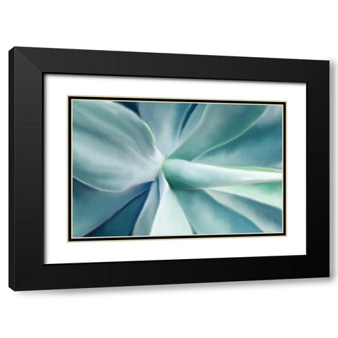 Agave Black Modern Wood Framed Art Print with Double Matting by Allen, Kimberly