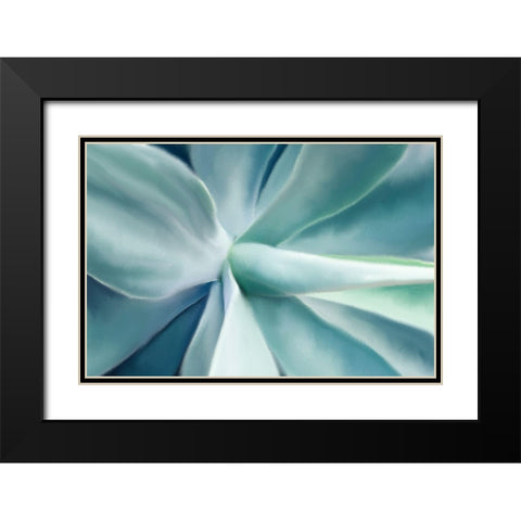 Agave Black Modern Wood Framed Art Print with Double Matting by Allen, Kimberly